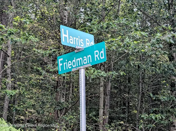 00 Harris Road, Harris, NY 12742