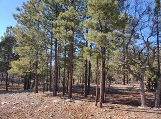 2920 Eagle Ridge Cir, Happy Jack, AZ 86024