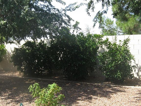 5th image of 6480 S Emerald Dr