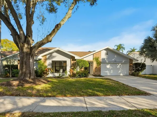 1110 Woodcrest Ave, Safety Harbor, FL 34695