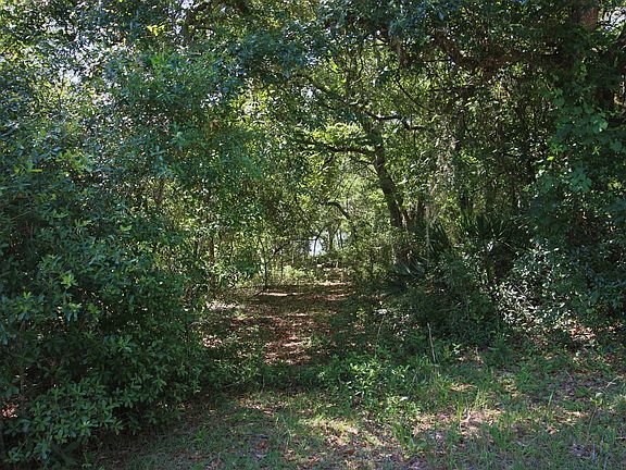 5th image of 154 Swisher Lakes Trl