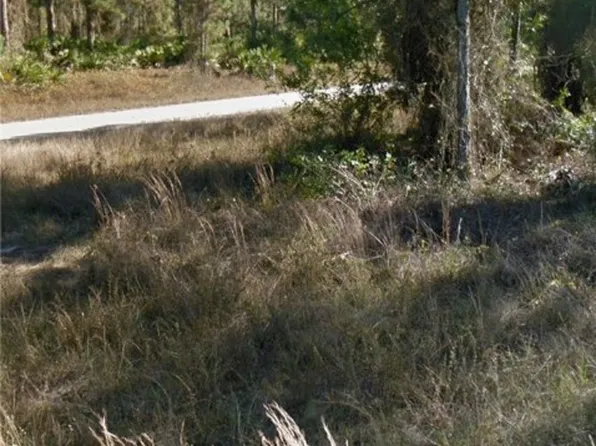 1132 Coons St E, Lehigh Acres, FL 33974