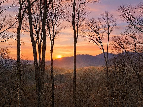 4th image of 217 Walnut Rdg