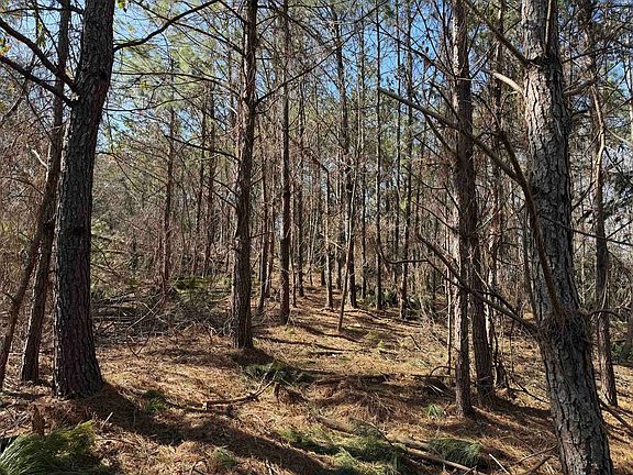 2nd image of 2 Pyburn Dr