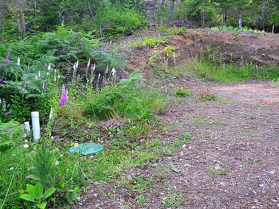 Septic Tanks & Build Site