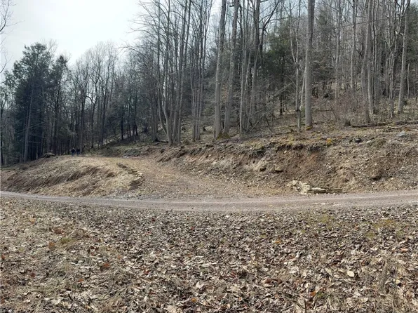 215 Swartzwelder Rd, Fort Hill, PA 15540