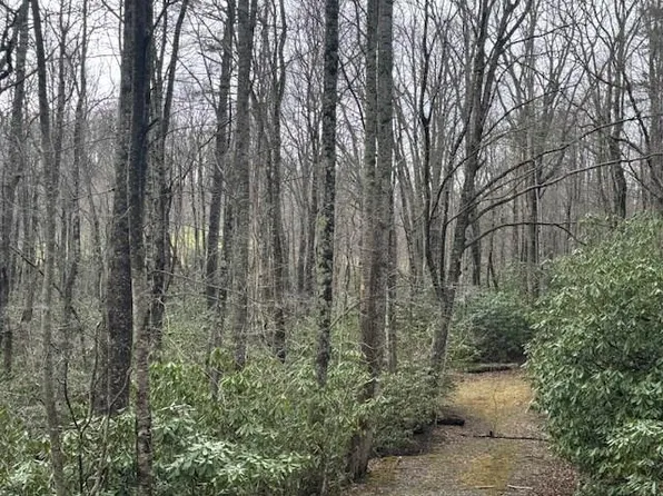 Crooked Creek Ln, Fancy Gap, VA 24328