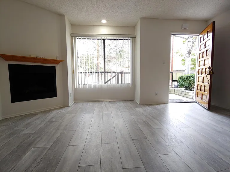 Living Room Fire Place and entrance