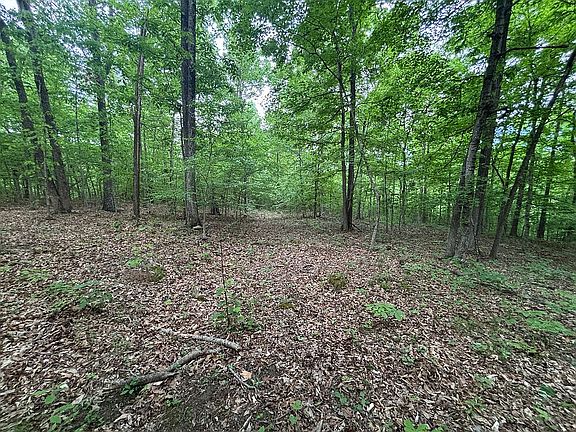 5th image of 5175 Prosperity Ln