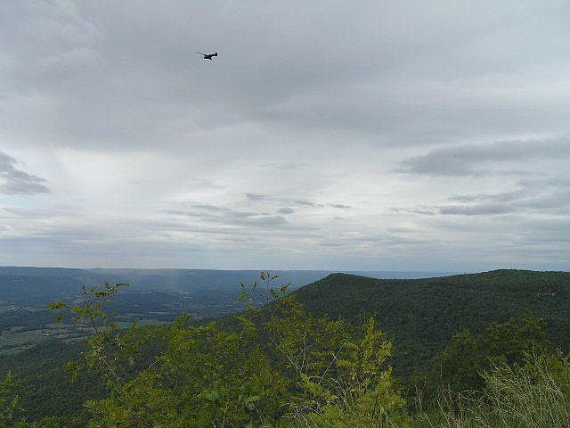 1st image of 163 Raven Crest Trl W Unit 10