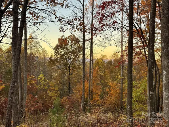 19 Meditation Ridge Dr, Nebo, NC 28761