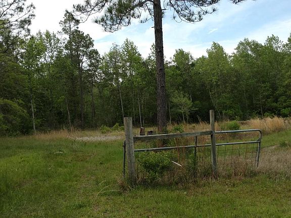 4th image of 32280 Dogwood Ln