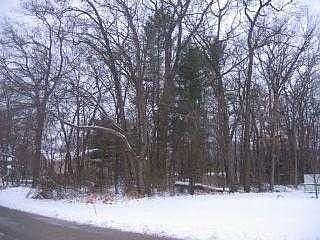 2nd image of 0 155th Ave