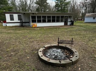 10675 N Shady Ln, Irons, MI 49644