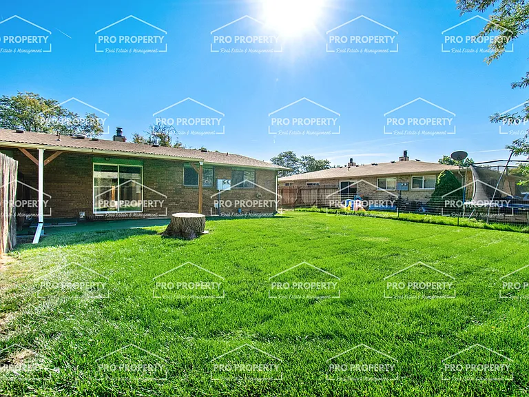 1919 Blue Mesa Ct — Photo 19