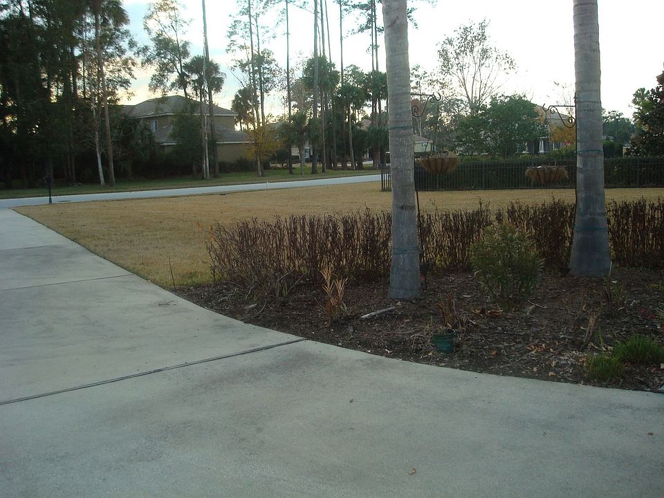 lawn