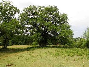 5th image of 1600 County Road 150