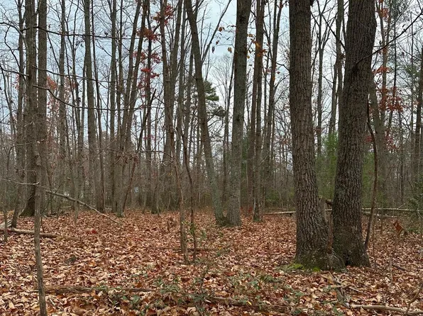 Woodland Church Rd, Culpeper, VA 22701