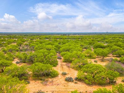 1155 PR 2630 LOT 12, Moore, TX, 78057
