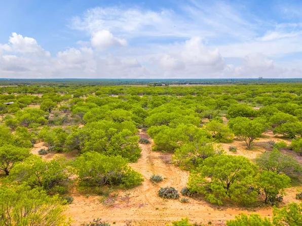 1155 PR 2630 LOT 12, Moore, TX 78057