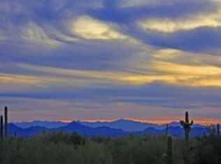 8876 E Rowel Rd, Scottsdale, AZ 85255