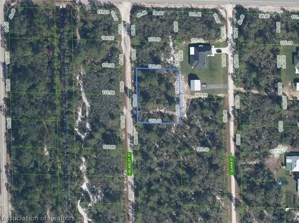 1059 Helmsley St, Lake Placid, FL 33852