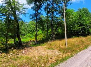 521 Browns Holler, Spring City, TN 37381