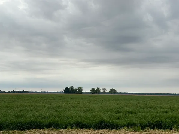 Highway 138, Tillar, AR 71670