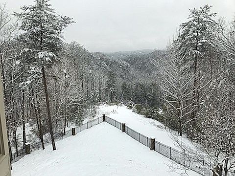 Backyard Winter