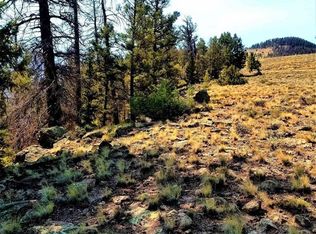 294 Schofield Trail, Powderhorn, CO 81243