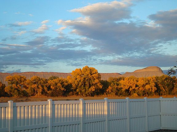 Backyard View