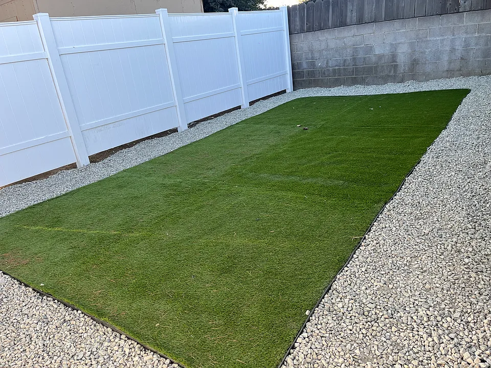 back yard