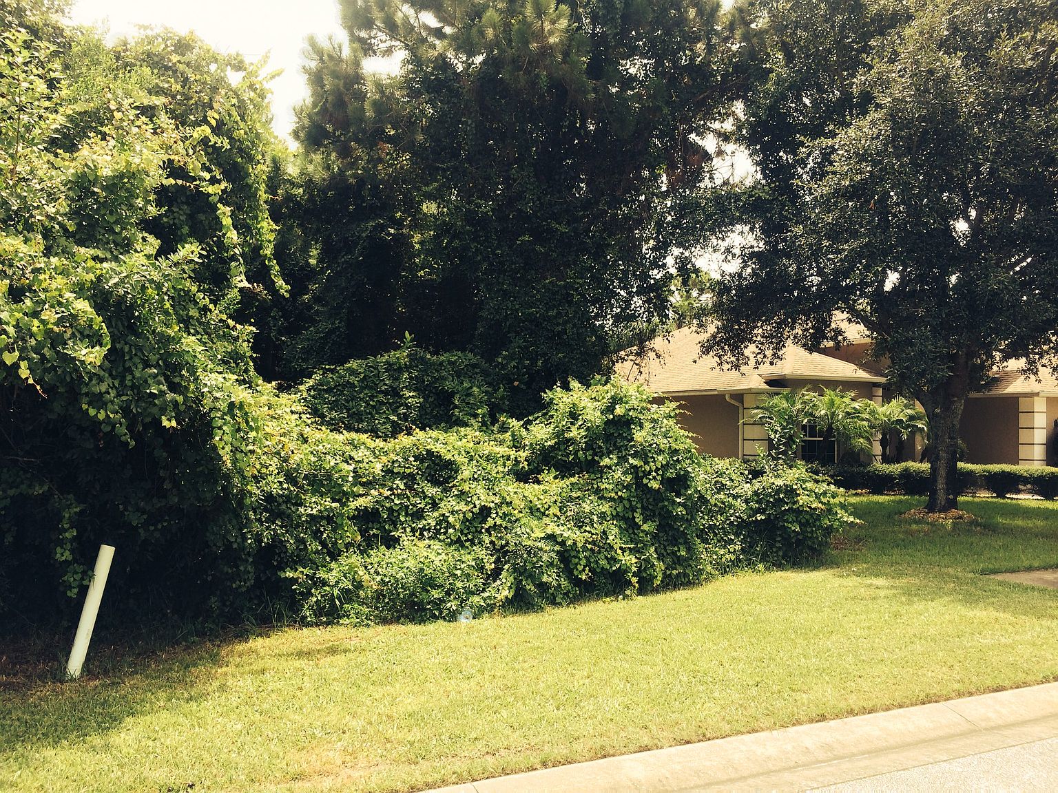 2623 Turnbull Estates Dr, New Smyrna Beach, FL 32168 Zillow