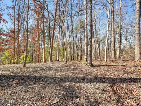 Charles Young Rd, Walland, TN 37886