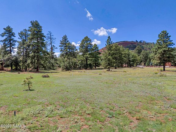 4th image of 7021 Oakwood Pines Dr