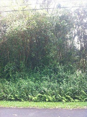 1st image of Nohea St Lot 3