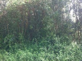 Nohea St LOT 3, Pahoa, HI 96778