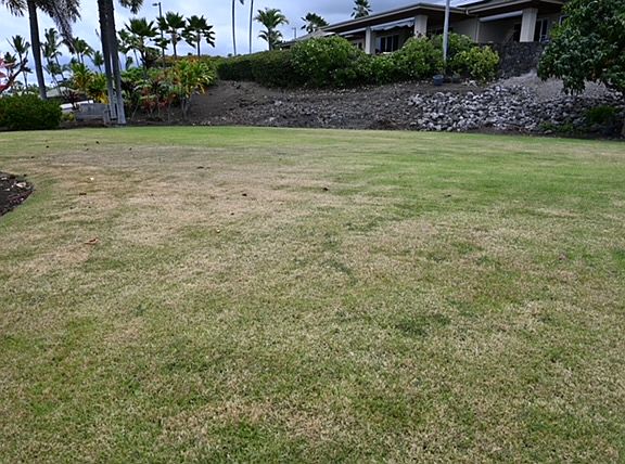 5th image of 78-7004 Aumoe St Lot 50