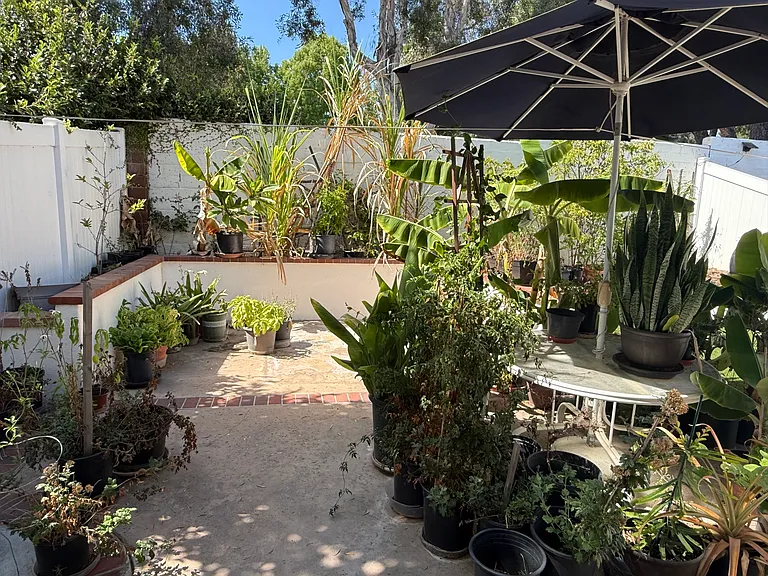 4578 Da Vinci St — Photo 4