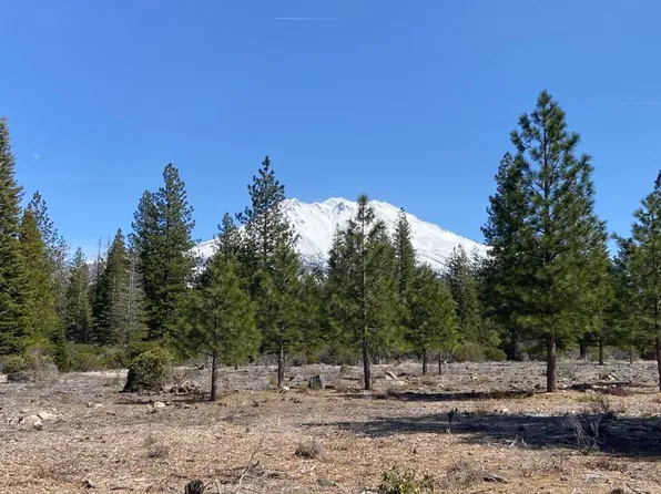 LOT 40 Hidden Meadow Dr, Weed, CA 96094