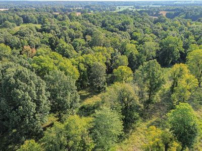 224 County Road 1003, Bardwell, KY, 42023