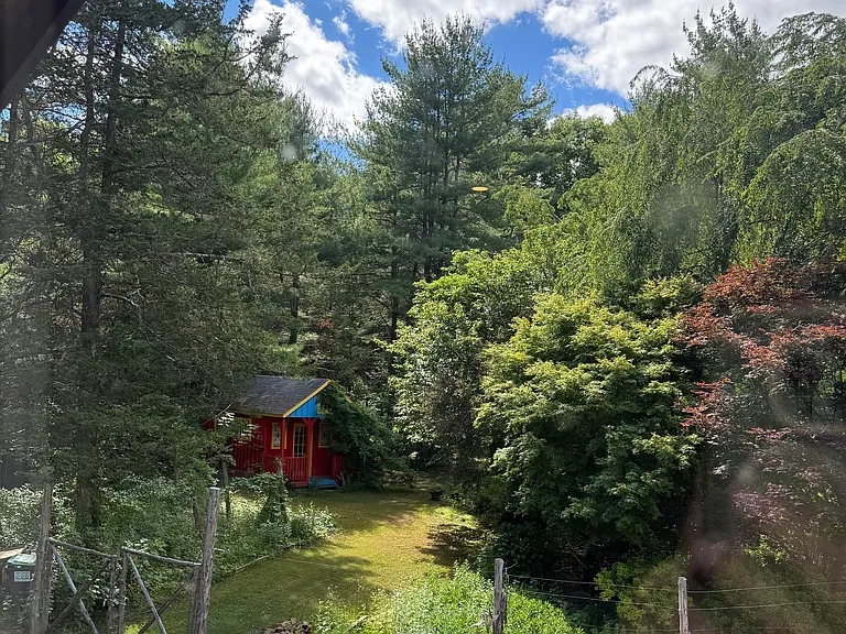 View to garden from living room window