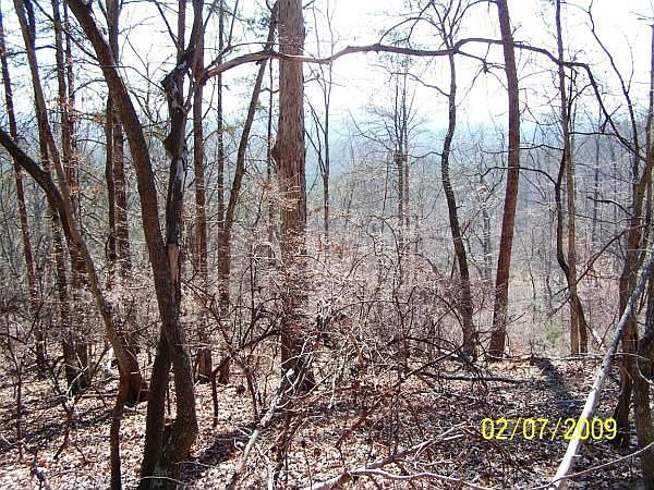 1st image of 2361 Rocky Cove Ln