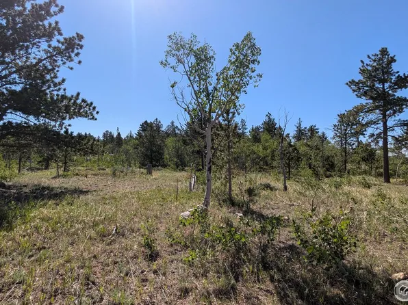264 Huron Rd, Red Feather Lakes, CO 80545