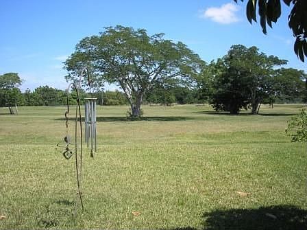 The view out the back--deed restricted; no back door neighbors.  Ever!
