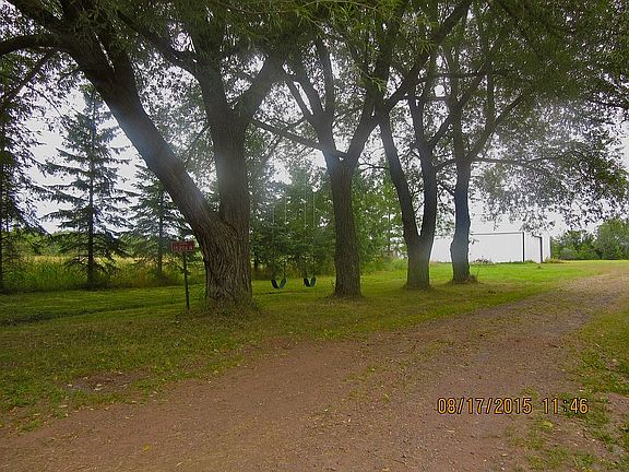 Many mature trees in yard