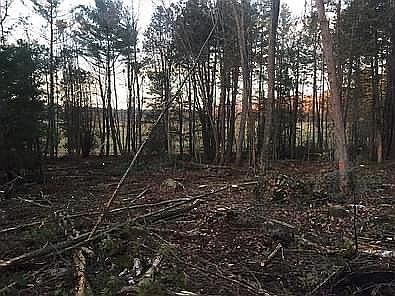 2nd image of 715 Town Farm Rd