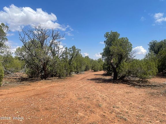2nd image of 4934 Elk Trail Rd