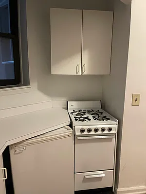 Rented by Eric Goodman Realty Corp | media 11