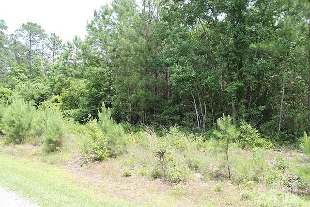 2nd image of 107 Bear Dr